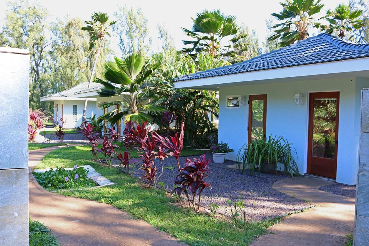 Hawaii Island Retreat At Ahu Pohaku Ho'Omaluhia Villa Kapaau Eksteriør billede