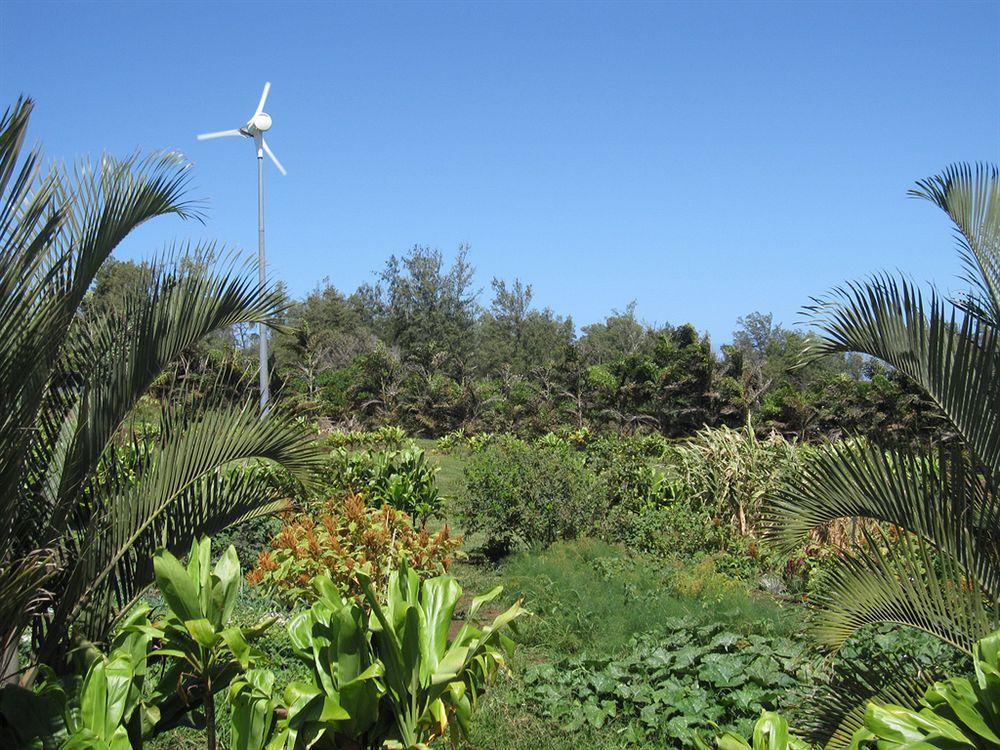 Hawaii Island Retreat At Ahu Pohaku Ho'Omaluhia Villa Kapaau Eksteriør billede