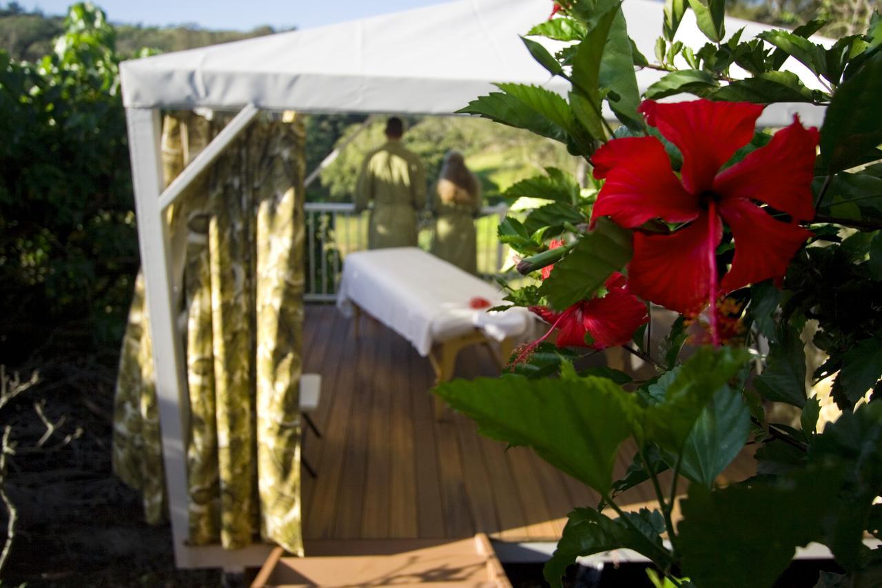 Hawaii Island Retreat At Ahu Pohaku Ho'Omaluhia Villa Kapaau Eksteriør billede