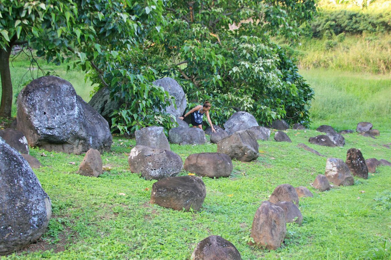 Hawaii Island Retreat At Ahu Pohaku Ho'Omaluhia Villa Kapaau Eksteriør billede