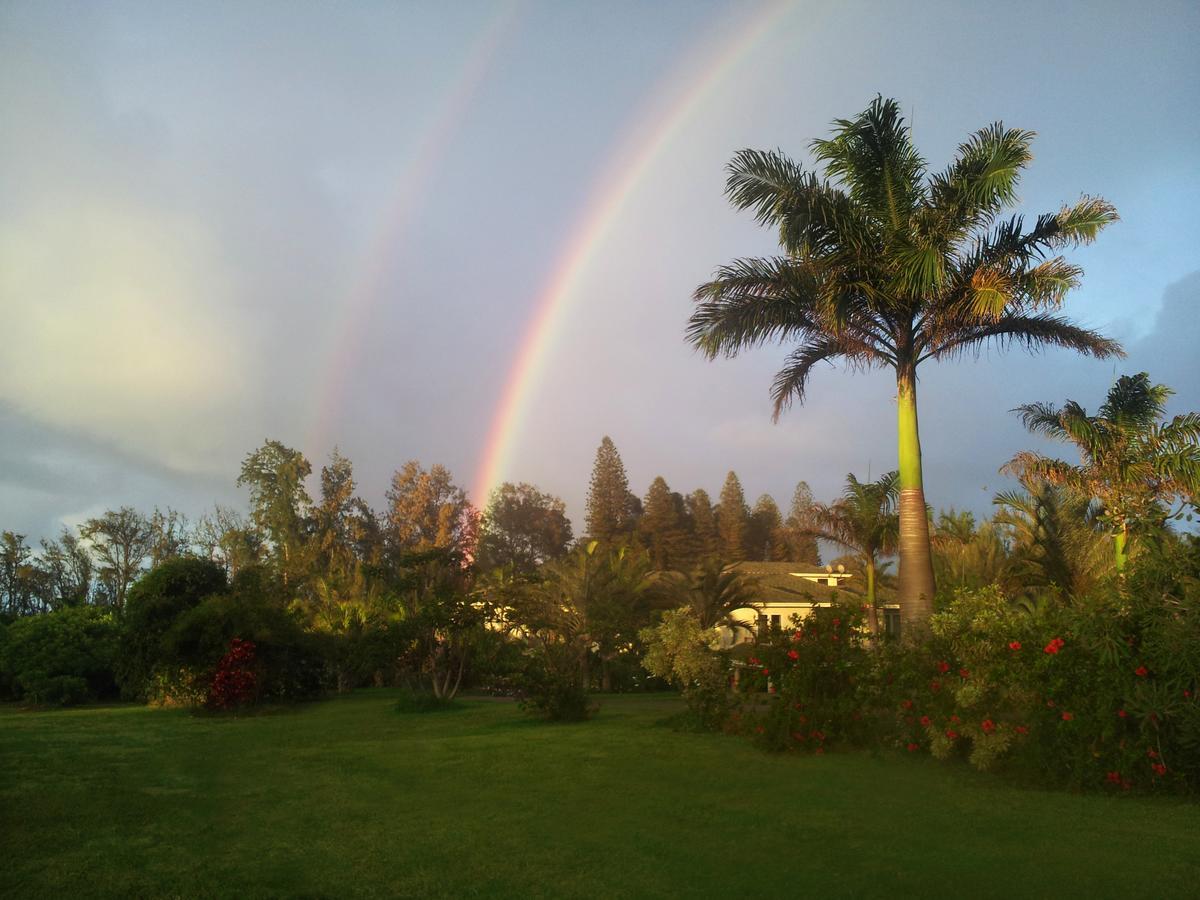 Hawaii Island Retreat At Ahu Pohaku Ho'Omaluhia Villa Kapaau Eksteriør billede