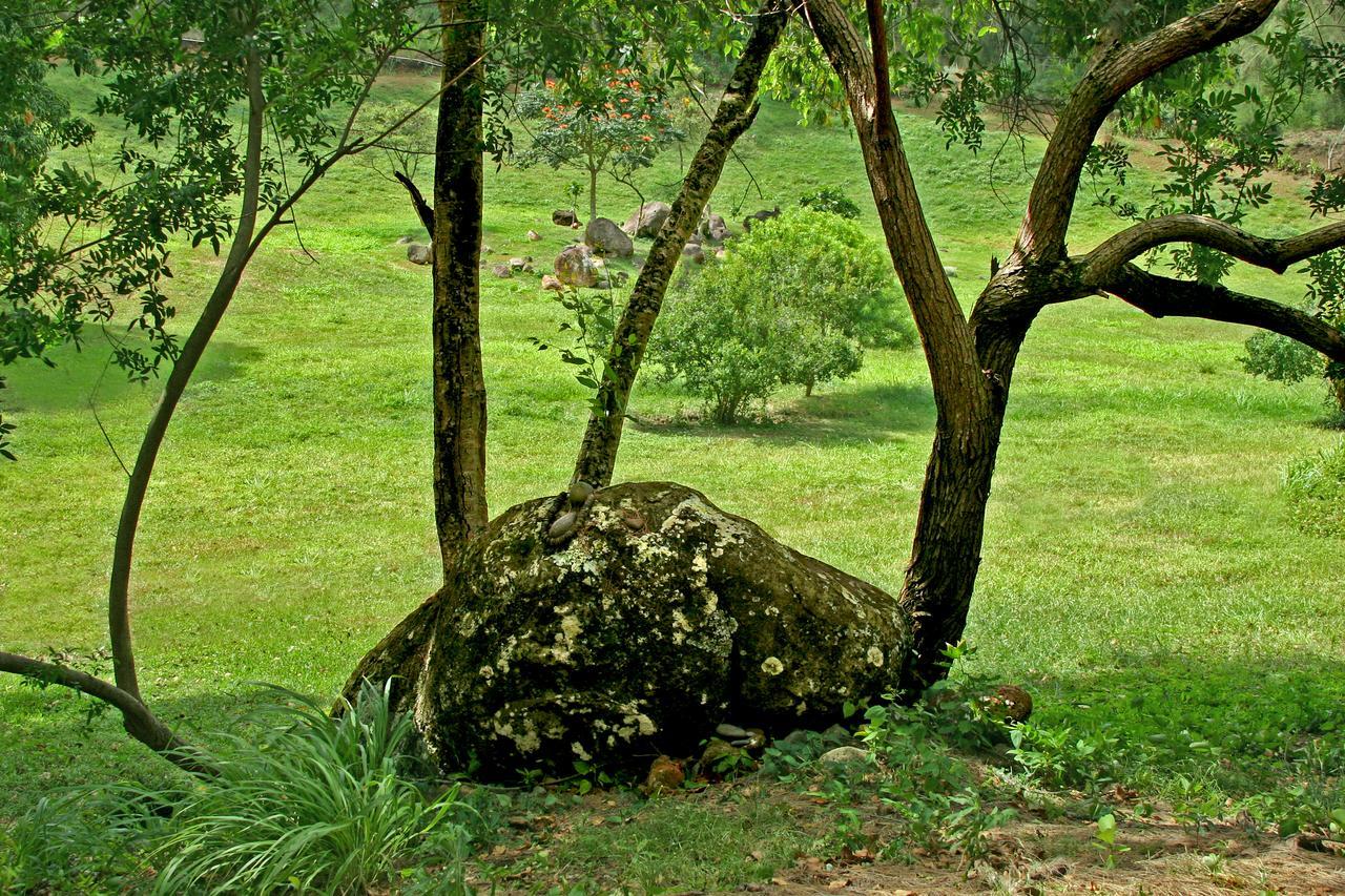 Hawaii Island Retreat At Ahu Pohaku Ho'Omaluhia Villa Kapaau Eksteriør billede