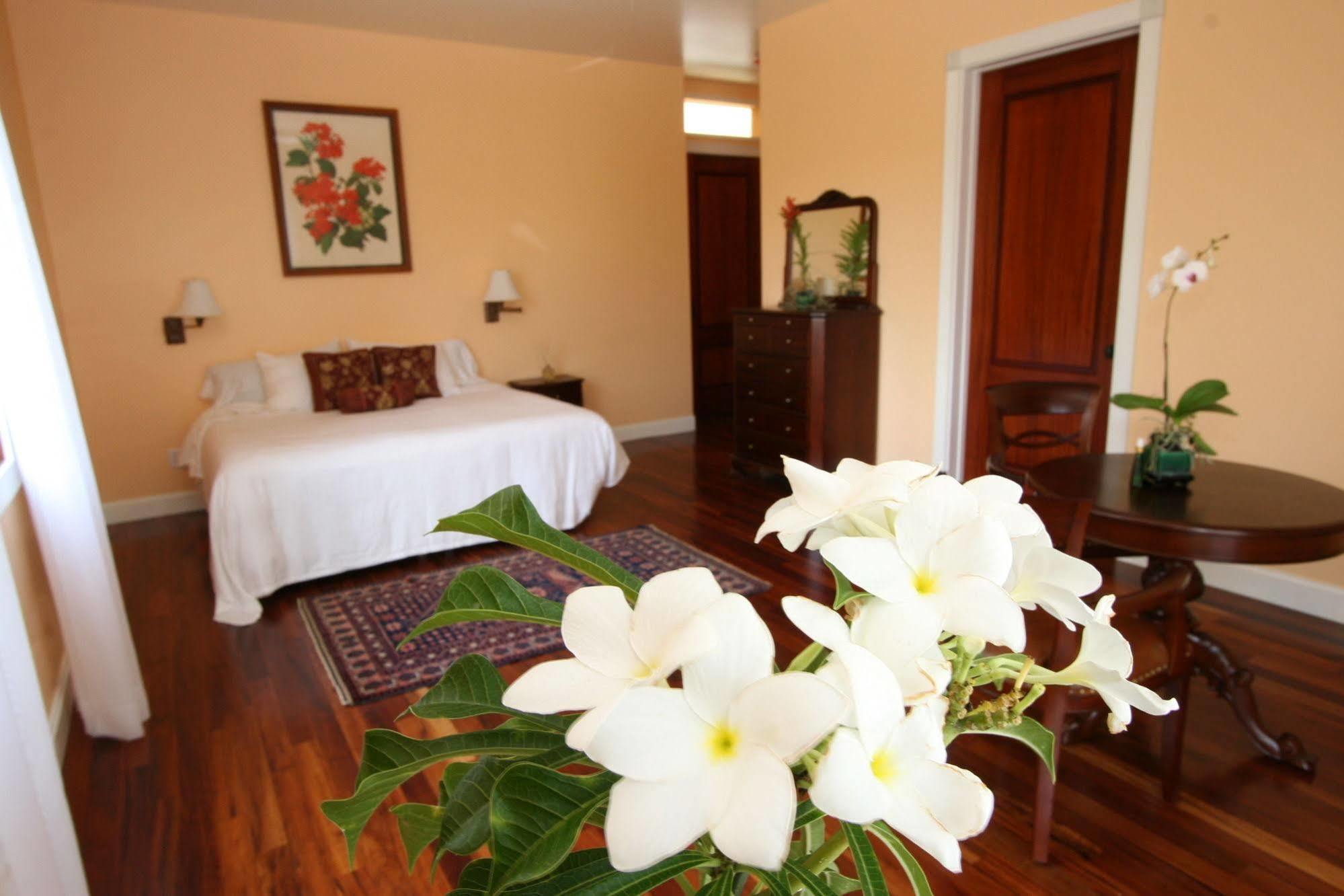Hawaii Island Retreat At Ahu Pohaku Ho'Omaluhia Villa Kapaau Eksteriør billede